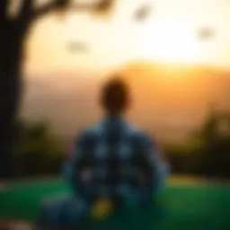 A serene landscape symbolizing tranquility and peace of mind.